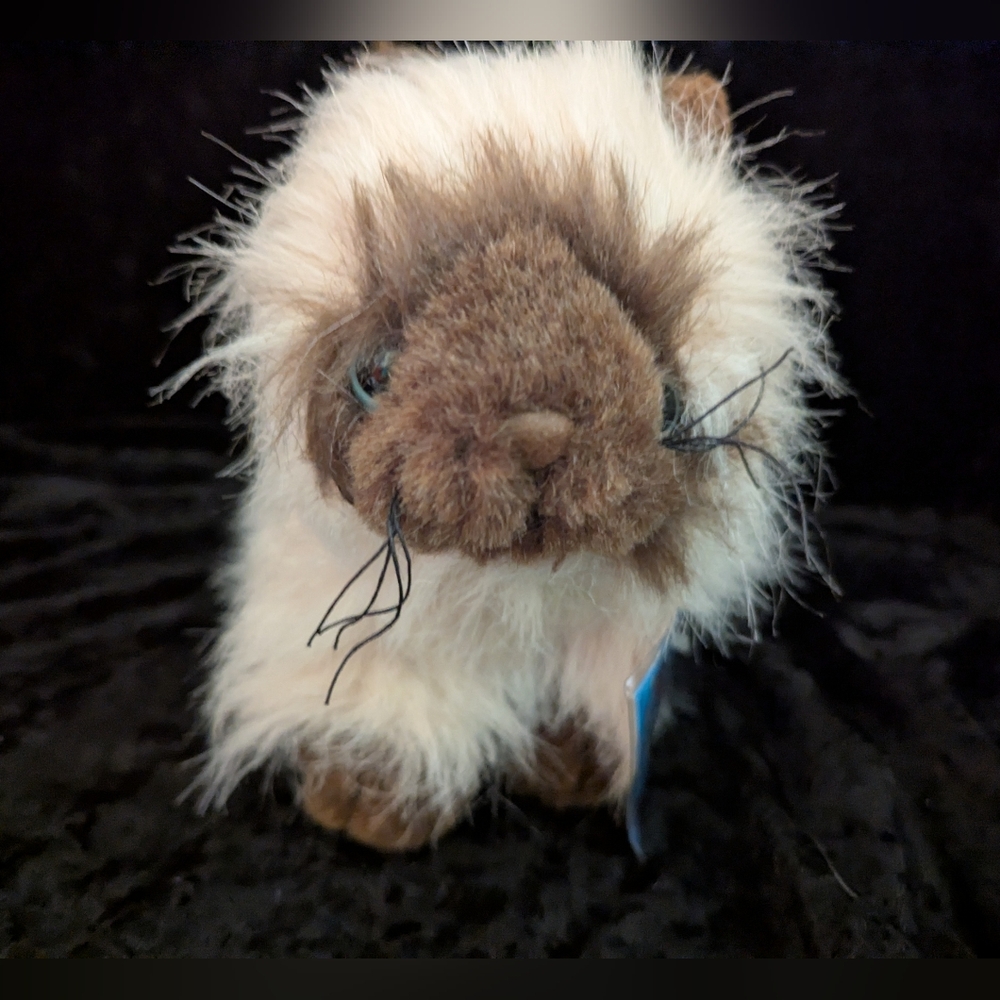 Webkinz Himalayan Cat Plush UNUSED SEALED CODE Ganz Vintage NWT - Picture 2 of 8